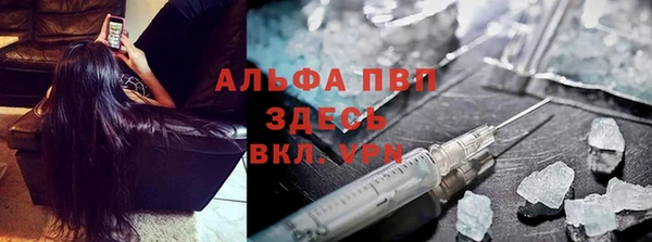 крисы Алзамай