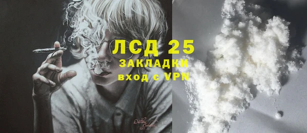 крисы Алзамай