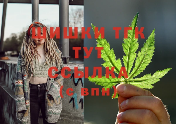 молекула духа Медвежьегорск