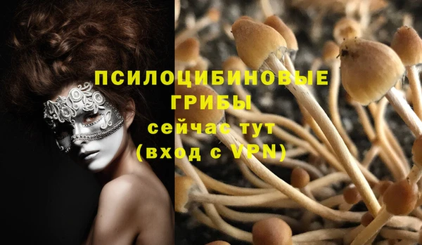 СК Алексеевка