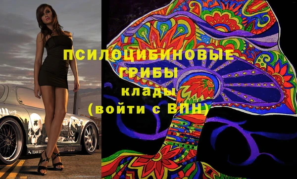гидра Медногорск